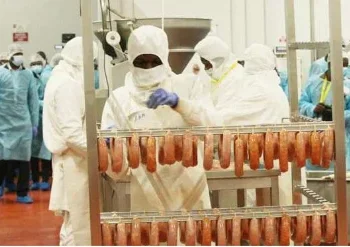 Operadores económicos vão beneficiar de alívios fiscais do IVA