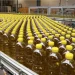 Nova fábrica de óleo alimentar com capacidade de embalar um milhão de litros por dia