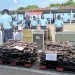 Empresas no Bié entregam mais de 400 armas de guerra
