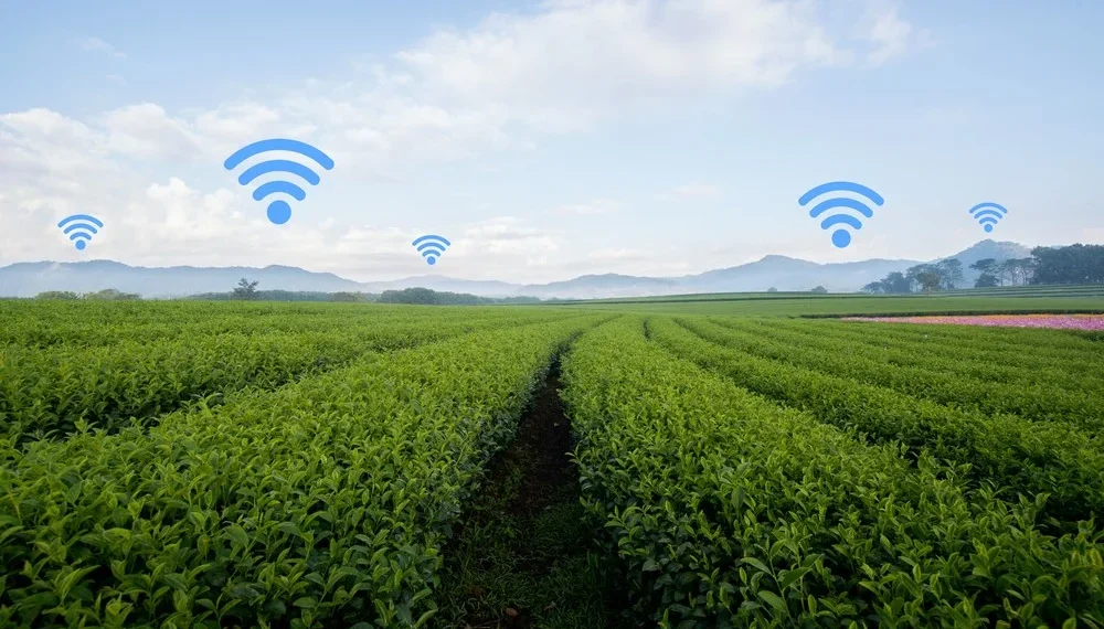 Huawei incrementa projecto de conectividade para melhoria nos serviços de comunicação nas zonas rurais