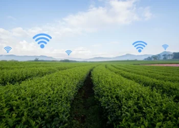 Huawei incrementa projecto de conectividade para melhoria nos serviços de comunicação nas zonas rurais