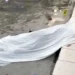 Jovem morto à pancada pelo suposto rival
