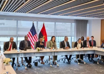 Vera Daves reafirma abertura do Executivo à parceria privada para aumento da electrificação em Angola