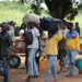 Polícia Nacional “trava” entrada ilegal de mais de 100 imigrantes nas últimas 24 horas