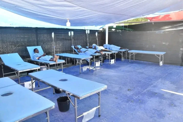 Cólera ultrapassa os 16 mil casos