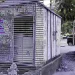 Carta do leitor:Proteger os bens Públicos…