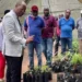Governo do Cuanza-Norte prevê lançar cerca de 400 jovens no empresariado agrícola