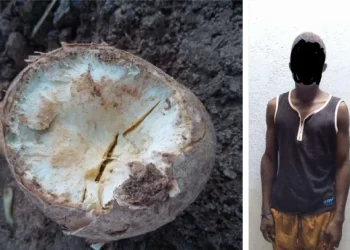 Mandioca crua mata uma criança e deixa outra internada no Bengo