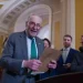 Senadores republicanos apoiam democratas em lei que limita poder de trump