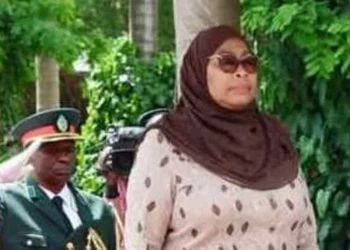 Presidente Tanzaniana deixa Angola
