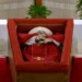 Vaticano divulga  primeiras imagens  do velório do Papa,  em caixão aberto