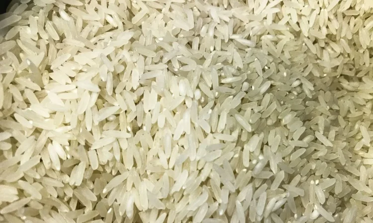 Província do Bié acolhe VI edição da Feira do Arroz