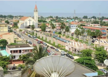 Especialistas reunidos em Cabinda discutem medidas eficazes para a preservação e combate à desflorestação da Bacia do Congo