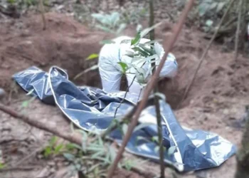 Caçador mata amigo por confundir com animal no Bengo