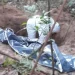 Caçador mata amigo por confundir com animal no Bengo