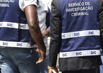 SIC detém cidadão detentor de estufa clandestina de produção de drogas