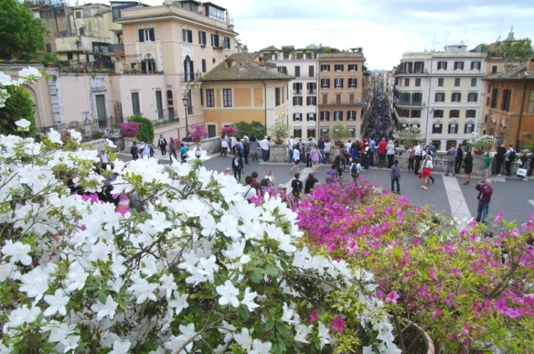Primavera em Roma,  profecias e a Cátedra  vazia