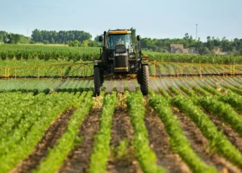 Missão do agro-negócio do Brasil visita Angola