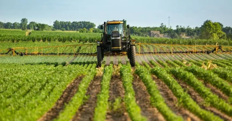 Missão do agro-negócio do Brasil visita Angola