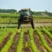 Missão do agro-negócio do Brasil visita Angola