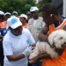 Mais de 11 mil animais vacinados contra a raiva em Malanje