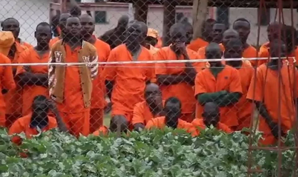 Angolanos que estavam presos no Gabão chegam hoje a Angola