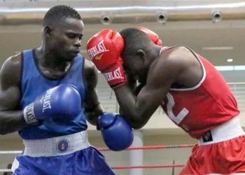 Boxe: Angola de “pedra e cal” nos 50 anos da festa da Independência