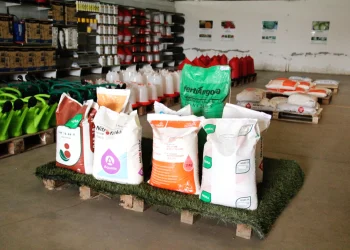 Horticultores do Quipungo ganham 15 toneladas de sementes