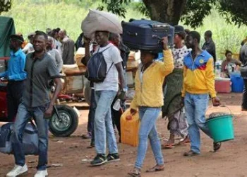 Polícia Nacional “trava” entrada ilegal de mais de 200 imigrantes nas últimas 24 horas