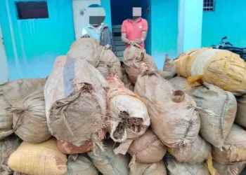 Apreendidos mais de quarenta sacos de liamba no Uíge