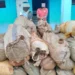Apreendidos mais de quarenta sacos de liamba no Uíge