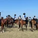 Eriedson Manso vence primeiro Concurso Nacional de Endurance