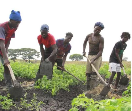 FADA investe 38 mil milhões de kwanzasna promoção da agricultura familiar
