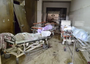 Mais de 600 pessoas morreram por cólera em Angola