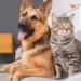 Luanda prevê vacinar mais de 100 mil animais