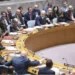 A reforma da ONU é uma medida forçada ou uma necessidade?