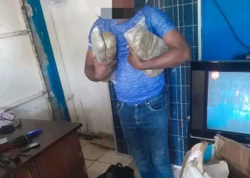 Detido cidadão por posse de 39 quilos de liamba