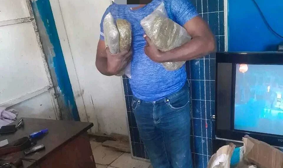 Detido cidadão por posse de 39 quilos de liamba