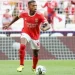 Federação Angolana de Futebol aguarda “sim” de Florentino