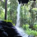 A selva em estado de alerta