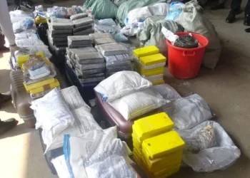Incinerados mais de 100 quilos de droga em Luanda