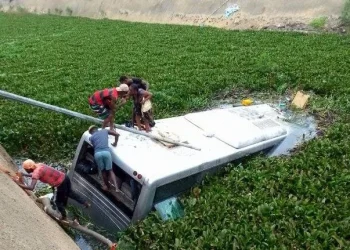 Valas, freios e heróis: A nova febre dos salvadores de Angola