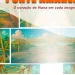 Concurso “Ponte Amarela” focado na descoberta de novos talentos na produção cinematográfica