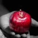 Entre frutos e caixas: O pecado da curiosidade