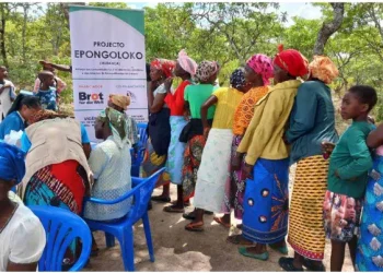 Projecto comunitário distribui mais de dois mil limoeiros no toco