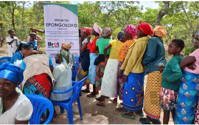 Projecto comunitário distribui mais de dois mil limoeiros no toco