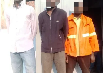 Polícia Nacional no Cuanza Sul detém cidadãos por furto de cinco cabeças de gado