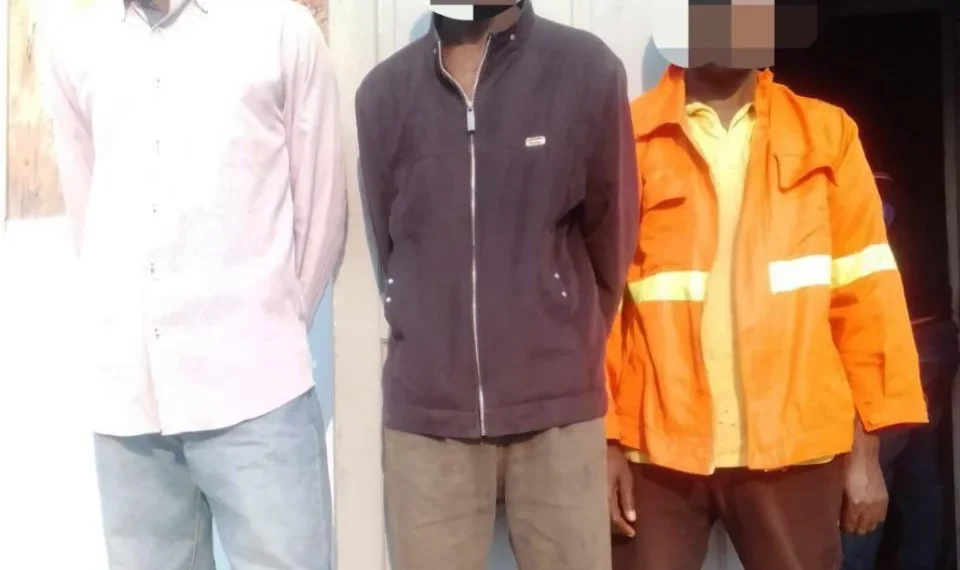 Polícia Nacional no Cuanza Sul detém cidadãos por furto de cinco cabeças de gado