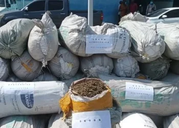 Apreendidas mais de 10 mil porções de liamba em posse de um casal em Icolo e Bengo