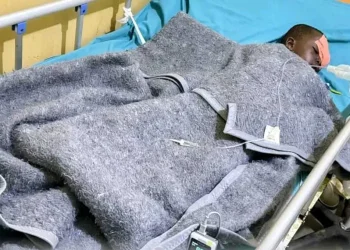 Sete crianças ficam gravemente feridas em explosão de engenho no Zaire